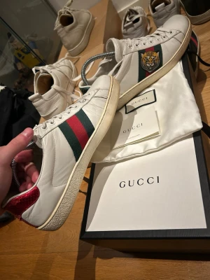 Gucci ace skor - Gucci Ace skor riktigt goa nu till våren! Uk 7,5 