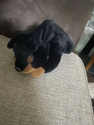  gosedjur Hund - En hund plushie