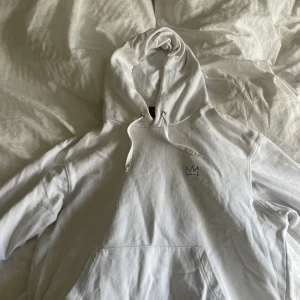 Vit  Hov1 hoodie 'Around the World Tour' 2019 - Hov1 mearch från around the World tour 2019. Hoodien är i super bra skick!! Storlek L men är liten i storleken så skulle deff passa S/M och sitter lite oversized på mig som bär XS!! 