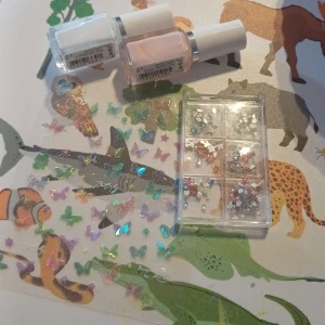 Nagelkit med två nagellack, dekorationer och stickers - Nagelkit med ett vitt och ett ljusrosa nagellack, ett fack med små nageldekorationer i olika former och färger samt ett ark med holografiska fjärilsstickers. Perfekt för att skapa kreativa nageldesigner.
