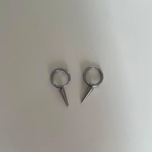 Silvriga örhängen från Edblad - Säljer ett par Edblad örhängen som jag aldrig andvänder längre, köptes för ganska länge sen men de är fortfarande i jätte bra skick. ❤️