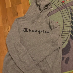 Grå hoodie från Champion XL - Säljer en grå hoodie från Champion i storlek XL. Tröjan har klassisk huva, med svart logga framtill. Pris diskuterbart!!!!