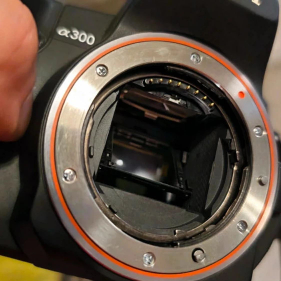 Sony alpha  α300 - 3