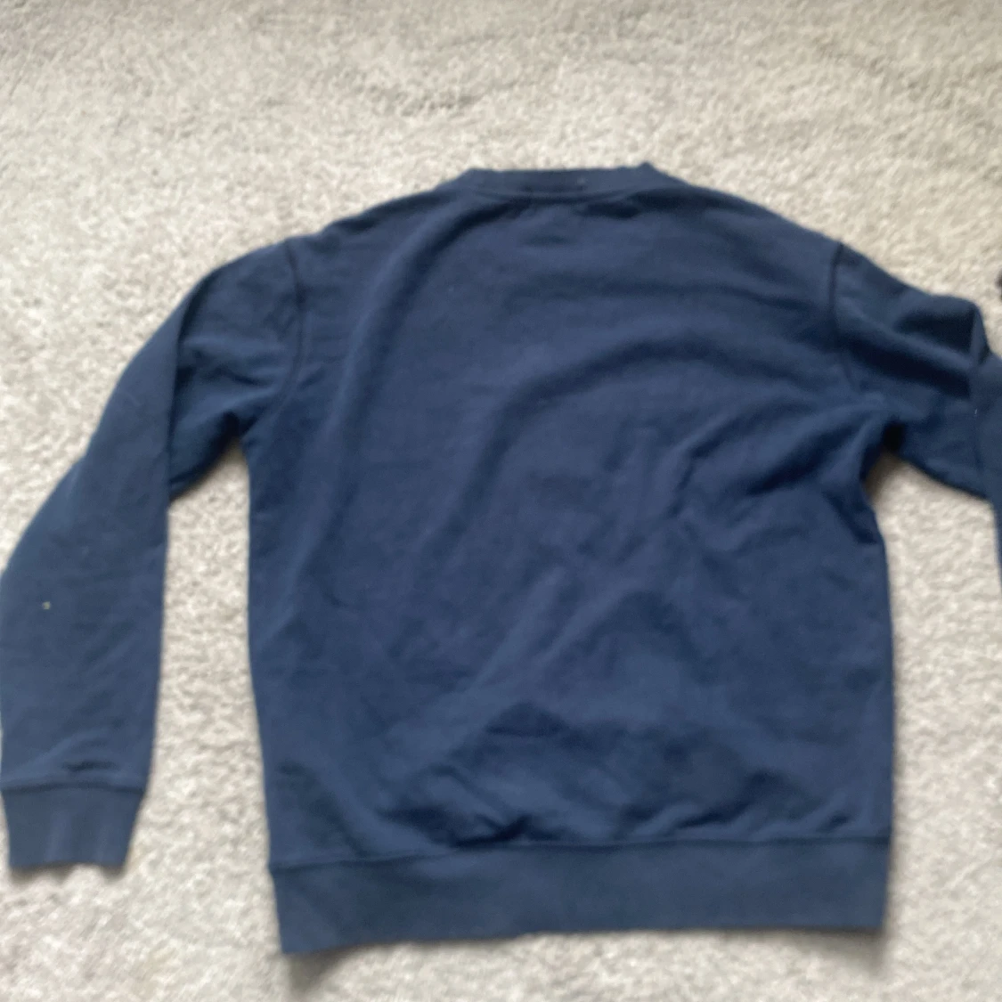 Blå sweatshirt Polo Bear Ralph Lauren - 2