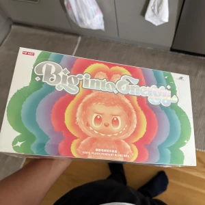 Labubu 6-pack Oöppnad - Upptäck färgglada och söta figurer med olika teman som lojalitet, hopp, kärlek och lycka! Perfekt för dig som gillar samlarprylar och vill ha något unikt och lekfullt i din hylla. Varje box är en överraskning – vilken får du?