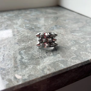 Chunky silverring med nitar från Edblad - Trendig ring från Edblad med nitar. Ringen är 16.00mm. Säljer för att den inte kommer till användning. 