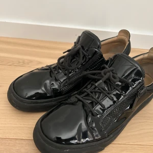 Giuseppe zanotti  - Strlk 44 men passar 43