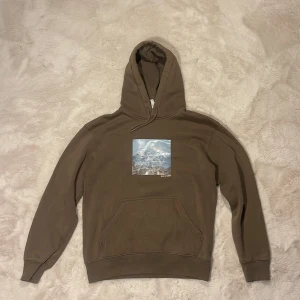 Brun hoodie med bergstryck från H&M - Snygg brun hoodie från H&M med relaxed fit och ett coolt tryck av berg på bröstet. Tröjan har huva med snörning, magficka och långa ärmar. Perfekt för dig som gillar en chill och avslappnad stil. Står XS men passar även S 
