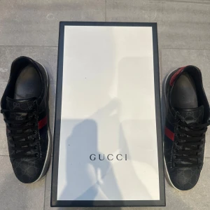 Svarta Gucci ace - Svarta Gucci ace storlek 44 men passar även 43 Skorna är i 8,5/10 skick. Skriv om ni har några frågor. Priset är inte hugget i sten!🚨