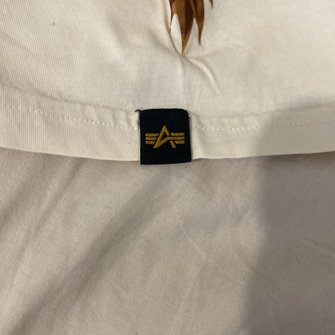 Beige Alpha Industries t-shirt med drakmotiv - 4