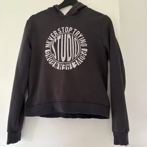 Svart hoodie - Svart hoodie från Gina Tricot med stort vitt tryck på bröstet där det står 'STUDIO' och 'Never stop trying'. Tröjan har långa ärmar, huva och ribbade muddar vid ärmslut och nederkant. Perfekt för en avslappnad stil. Nopprig på insidan och sliten text annars bra skick! 