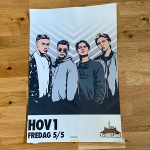 HOV1 affisch  - Tänkte kolla om det finns intresse för denna hov1 affisch från deras spelning på gröna lund! Lite skavanker i kanterna eftersom den suttit på väggen. Pris går att diskutera, hör av dig vid intresse! ☺️☺️