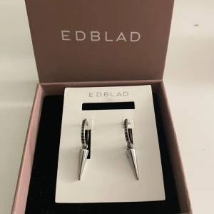 Silvriga örhängen med spikes från Edblad - Silvriga örhängen med spikes från Edblad. Endast använda ett fåtal gånger. 