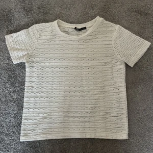 Vit broderad t-shirt från Zara - Säljer en vit t-shirt från Zara med broderade detaljer och hålmönster. T-shirten har korta ärmar och rund halsringning. 