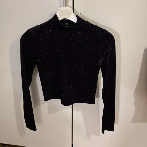 Svart glittrig croppad topp med öppen rygg - Säljer en svart glittrig croppad topp med lång ärm och hög hals. Toppen har en snygg öppen rygg och är perfekt för att sticka ut. Materialet är stretchigt och glittrigt.storlek xs/s❤️