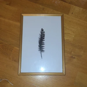 Guldram med en fjäder - Denna tavla passar dig som gillar guld. Passar väldigt bra i köket eller badrummet💘💘