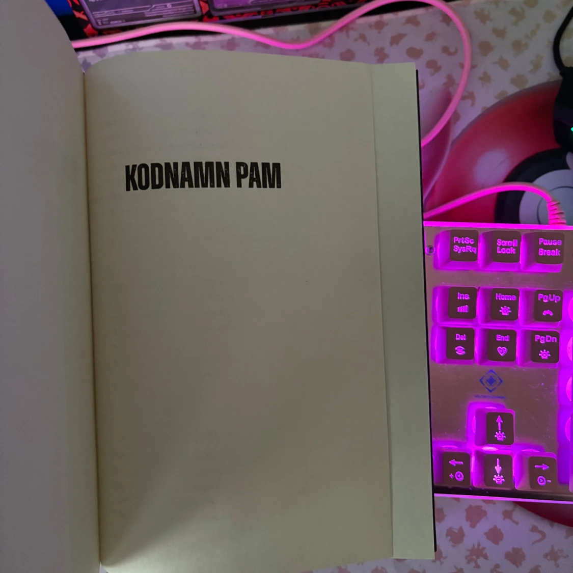 Kodnamn Pam: Mod Rädsla Sårbarhet - 1