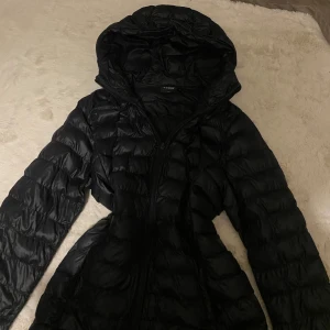 Svart dunjacka från Everest - Säljer en svart dunjacka från Everest med huva och dragkedja. Jackan är perfekt för kyliga dagar och har en stilren design. Den är lätt och bekväm att bära.