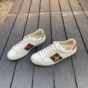 Gucci ace - GUCCI ACE. Väldigt snygga, perfekt för sommaren. Bra skick. Äktehetsbevis finns