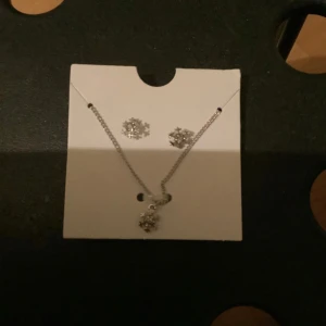 Silverfärgat smyckeset med snöflingor - Snyggt smyckeset med ett halsband och matchande örhängen i silverfärg. Både halsbandet och örhängena har detaljer i form av snöflingor.