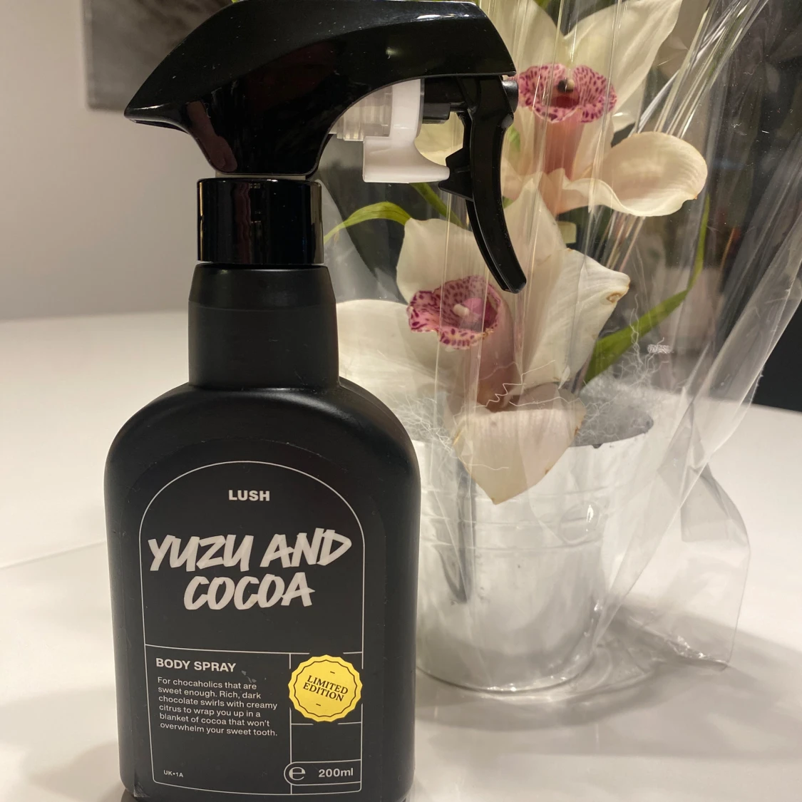 Yuzu and Cocoa Lush
