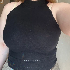 Svart polotopp  - Säljer en svart ribbad polotopp från Amisu i storlek L. Toppen är ärmlös med hög hals och croppad passform. Materialet är stickat och stretchigt, perfekt för en trendig och clean look. Snygg detalj med diskreta sömmar nertill.