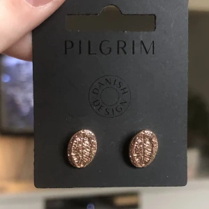 Pilgrim guld öronhängen  - OANVÄNDA pilgrim öronhängen. Original pris är 130kr säljer för 50kr! Priset går alltid att diskutera 