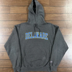 Champion Delaware Hoodie - Snygg vintage Hoodie från champion i storlek M! Bara att skriva om du undrar över något🙏