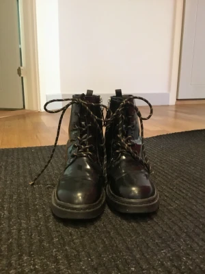 Vinterkängor  - Säljer mina varma vinterkängor då de inte längre passar. Har båte knyt och dragkedja på sidan. Sulan är lite sliten men annars är de väl bevarade. Frakt står köparen för.