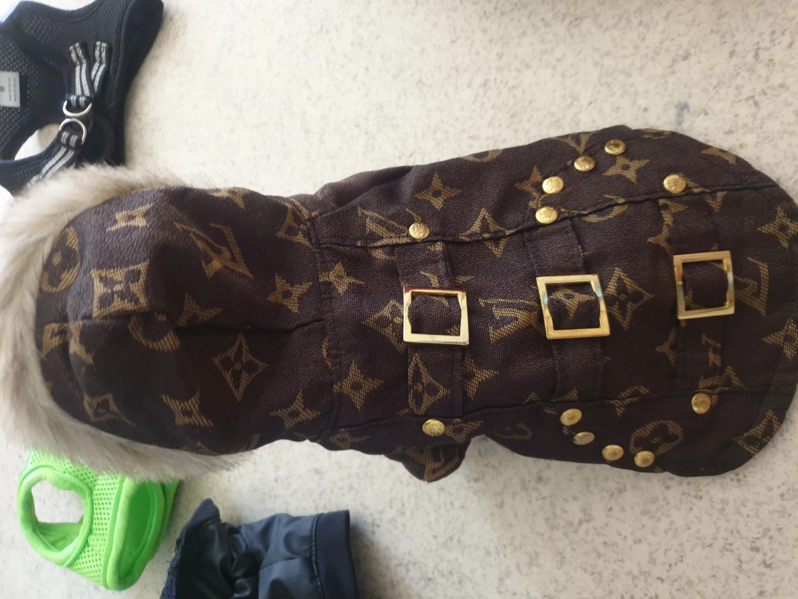 Lv jacka hund