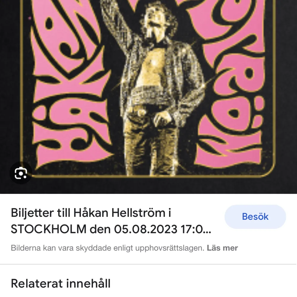 Säljer 1 biljett till Håkan Hellström på stadion den 5 augusti 2023 då att jag fått förhinder💕. Övrigt.