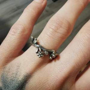 En ring för naturälskaren,ringen är i oxiderat silver. Köpt för 650DKK ungefär 1000kr. Bara använt ett fåtal gånger annars har den legat i sin låda. 