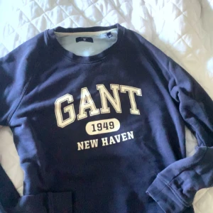 Gant hoodie - Inget fel 