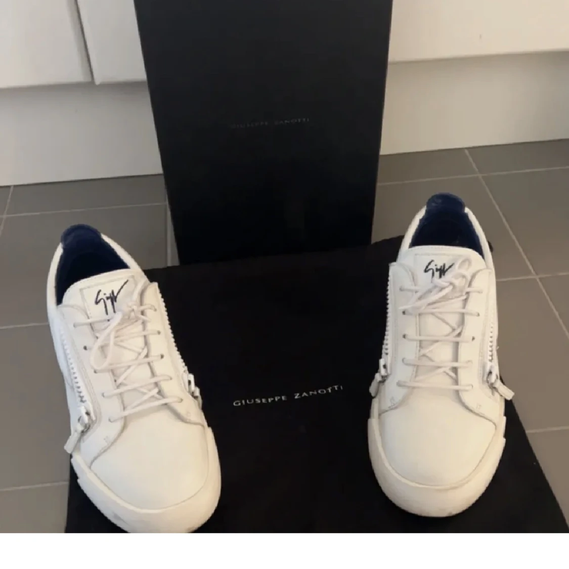 giuseppe zanotti