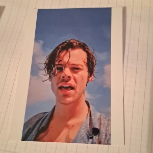 Harry Styles bild - Till inredning. Vid funderingar skicka gärna pm. Pris är diskuterbart. 💖😊