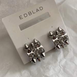 Säljer mina få antal gånger använda örhängen från Edblad, kontakta för mer info ❤️😊