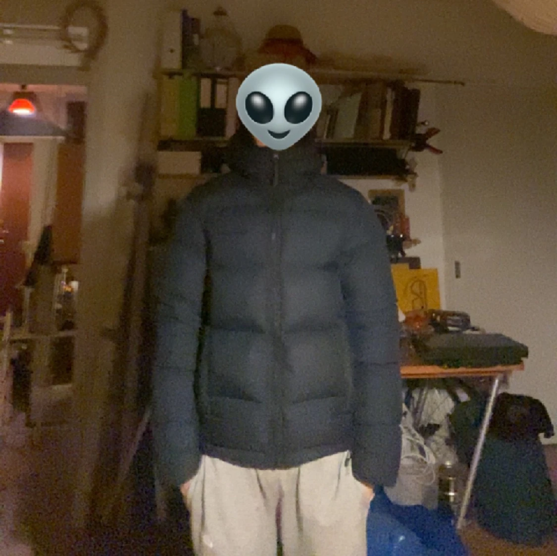 Peak performance dunjacka - 91