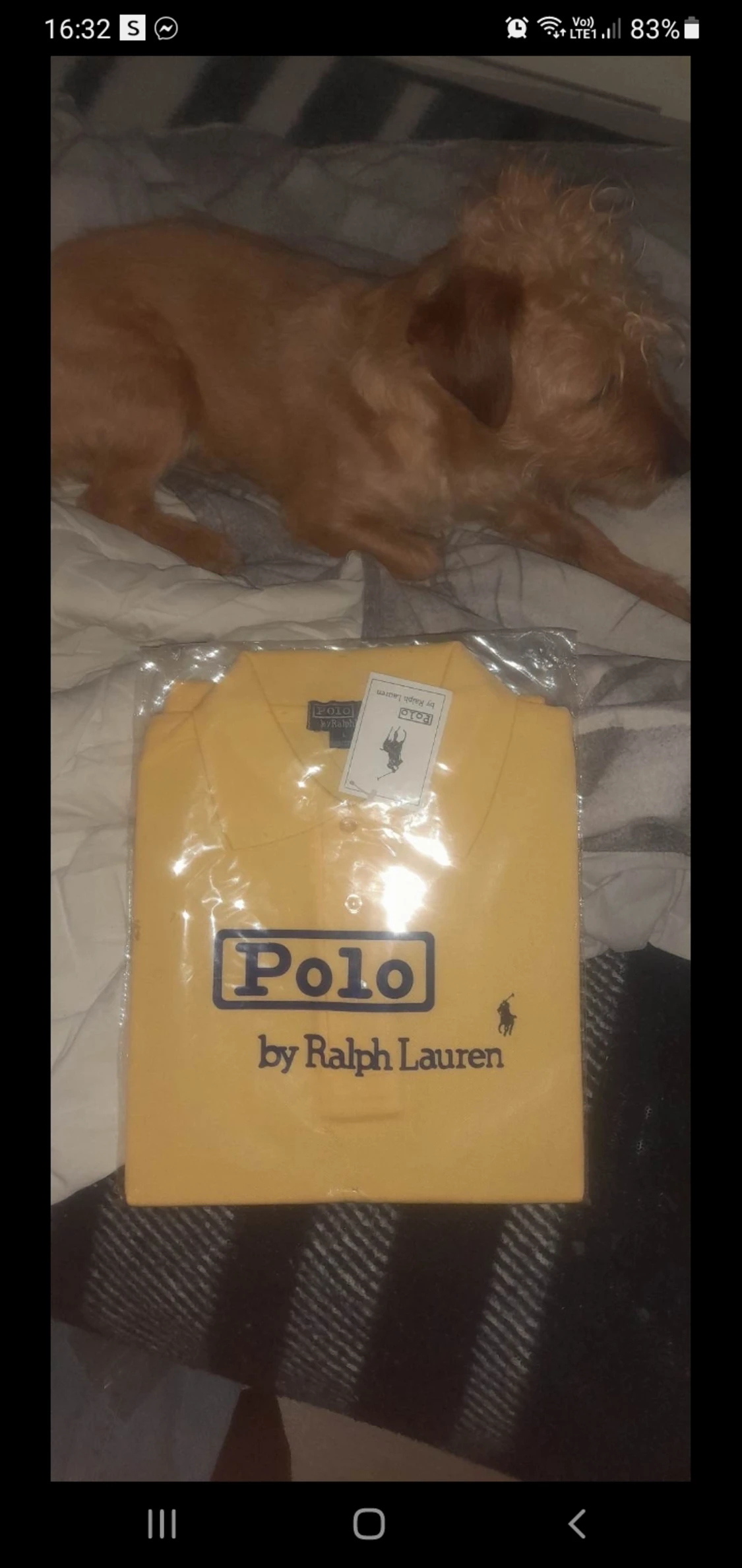 Ralph lauren piké skjorta