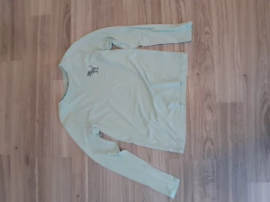 Tunn långärmad tröja - Nyskick, är aldrig andvänt. Som en T-shirt med långaärmar