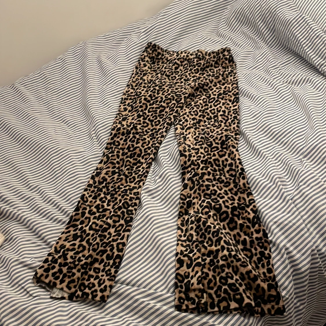 Leopard tights