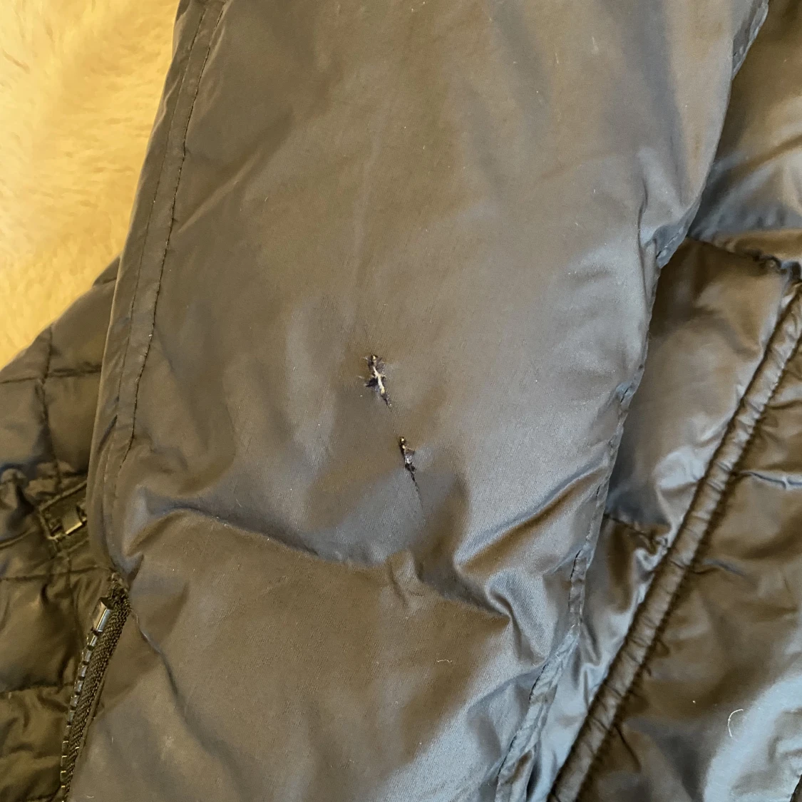 Rock and Blue stlk 36 - 91