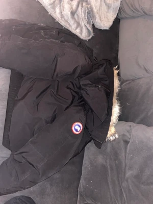 Canada goose jacka - Ingen aning om det är äkta eller bästa kopian där av priset, vid snabb affär kan jag gå ner i pris