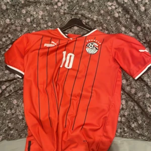 Eytpen tröja med salah  - Knappt använd perfekt sick 