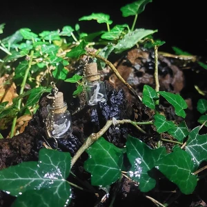 Burk med ben örhängen  - Alla örhängen handgjorda. Jag hittar alla ben ute i naturen, inget djur har kommit till skada för att skapa dessa smycken. Burkar med små käkar och tänder. Eleganta och diskreta örhängen, man märker inte vad som är i förens man tittar nära!