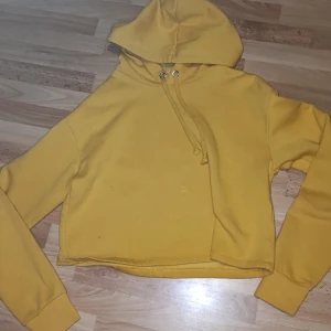 Gul tjocktröja - Gul tjocktröja, kort vid magen. Skriv för mer bilder