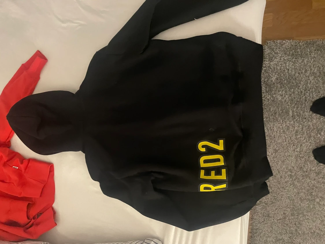 DSQ2 hoodie
