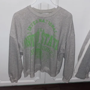 Grå sweatshirt - En grå oversized sweatshirt med grön text. Knappt andvänd och är i fint skick, skriv privat för fler bilder eller frågor!