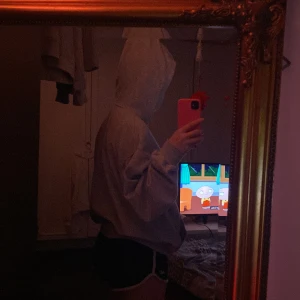 Grå zip up - En oversized zip up , knappt andvänd så inga defekter! Skriv privat för fler bilder eller frågor💗