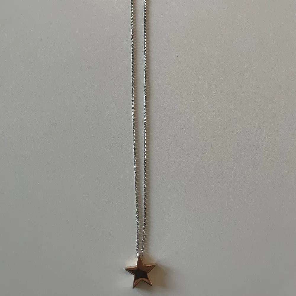 Halsband från Edblad i silver med rose stjärna. Använt . Accessoarer.