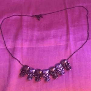Dödskalle halsband - Inte säker om den rostar eller inte.